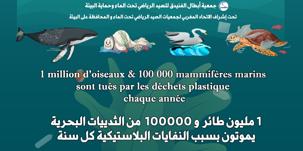 Impact des déchets plastiques sur les espèces marines