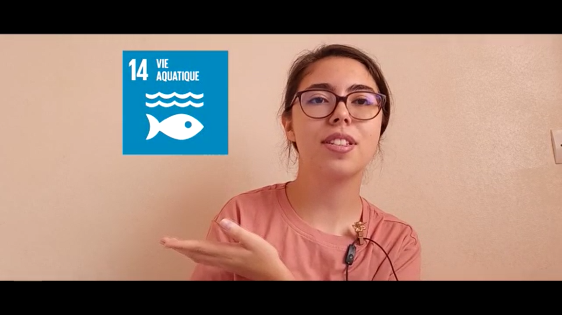 Objectif de développement durable n° 14 : vie aquatique