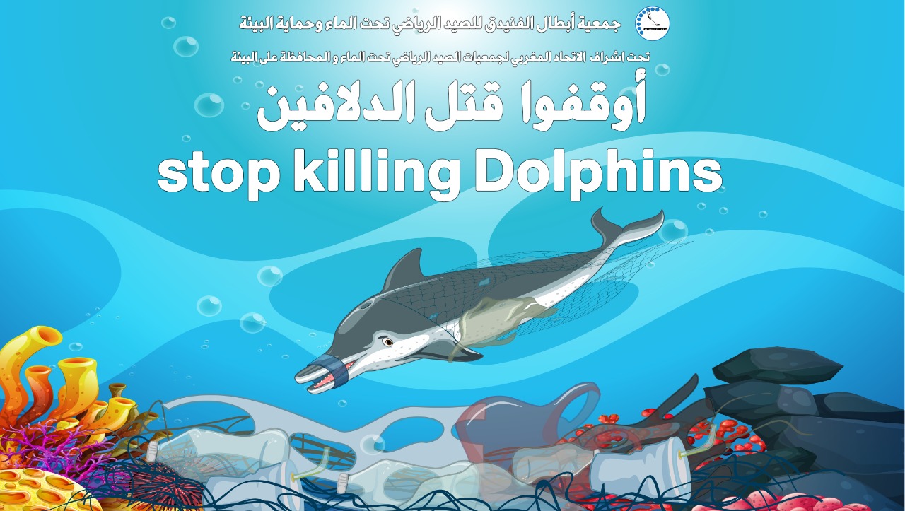 Stop killing dolphins 